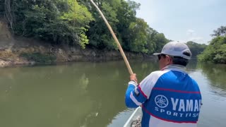 Exciting Pirarara fishing in the Amazon.