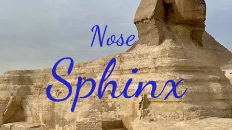 Sphinx' missing nose