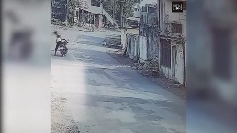 savage monkeys attack people on the streets