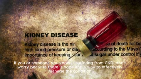 Chronic Kidney Disease Solution