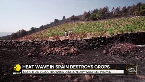 WION Climate Tracker | Record temperatures scorch Europe | Heat wave in Spain destroys crop