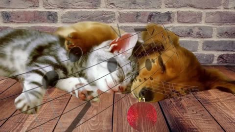 Heal Sick Dogs and Cats - Healing Sounds🐶🐱 Classical Music for healing an animal