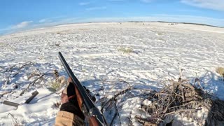 Colorado pheasant hunt 26F23