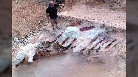 Experts unearth huge dinosaur skeleton in Portugal