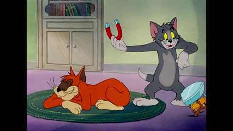 Tom and Jerry Funny Video