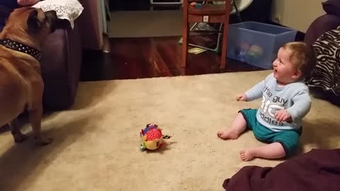 Baby laughing at dog & bubbles