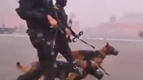 Indan army dog training