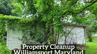 Property Cleanup Williamsport Maryland Landscape