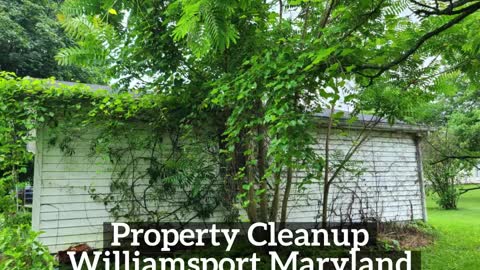 Property Cleanup Williamsport Maryland Landscape
