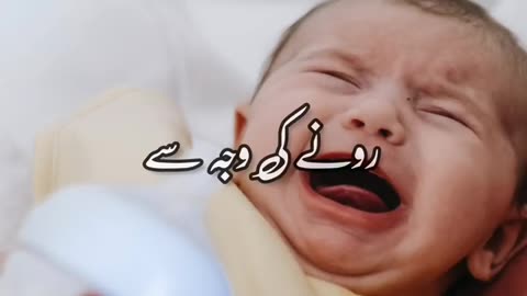 Choti Choti Nekiyon Ke Bade Sawab - Urdu Status - Islamic Whatsapp Status 4k Fullscreen
