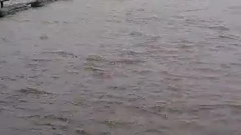 Flood in river 😯 heavy rain causes flood