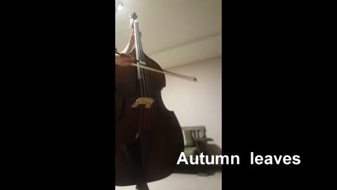 [artjun99] Autumn leaves ( Double bass )