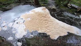 River Foam