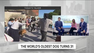 Today's Talker: The world's oldest dog just turned 31