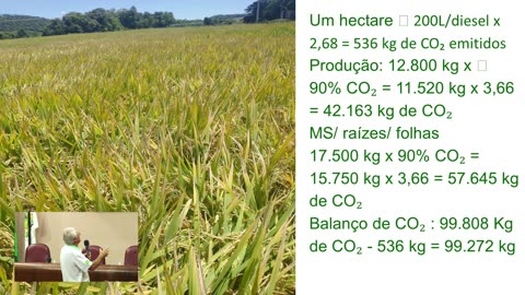 Mercado de Carbono: a visão de quem produz e consome.