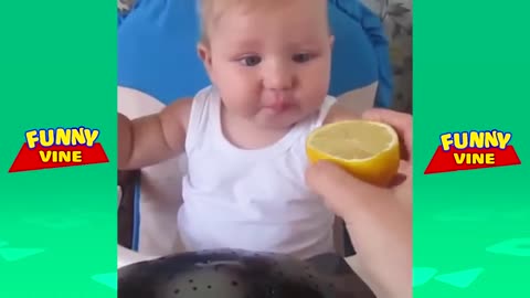 Babies Eating Lemons for The First Time Compilation