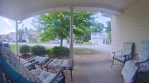 Kitty Rings Doorbell to Come Inside