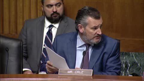 Sen. Cruz: The government should not take away the right to self-defense from law abiding citizens.