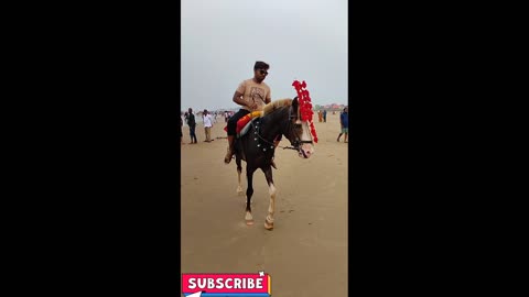 Digha beach horse riding