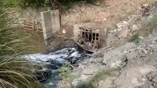 Toxic foam floats on India's sacred Yamuna river