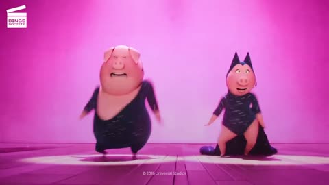 Crazy pig dance with song