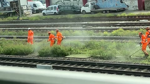Workers Dance While Cutting Grass