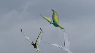 Portsmouth International Kite Festival, July 2022
