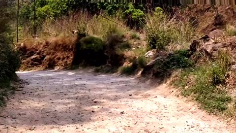 Moto vlog|| Samari to trishuli madhya pahadi highway Nuwakot