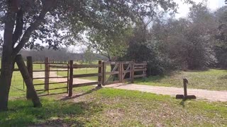 Barrington Plantation Texas