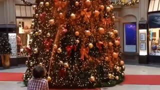 Members of the organization "Last Generation" attack Christmas trees with paint in Germany