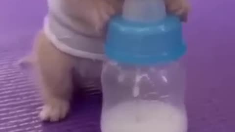 Baby drink milk.