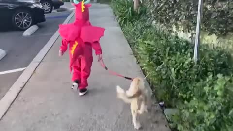 Kid Wearing Dragon Costume Runs on the Pavement With Pet Dog