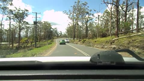 Tamborine Mountain strom damage on the eastern ridge.