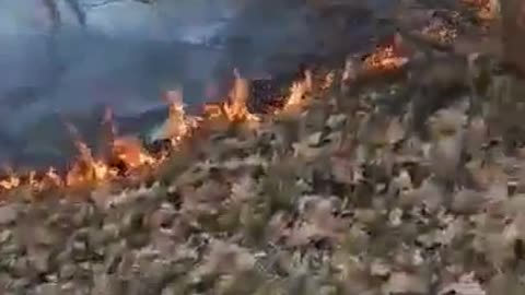 Zjarr në Maliq/ Përfshihet nga flakët një sipërfaqe e madhe toke me shkurre