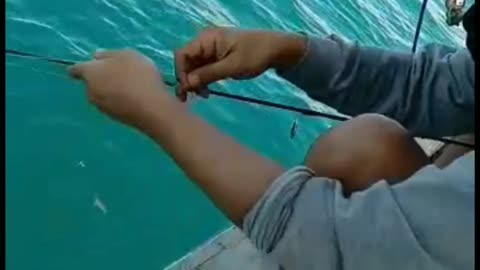 Fishing mania