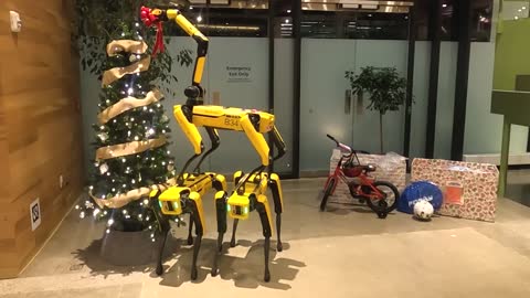 Robots from Boston Dynamics decorate the Christmas tree