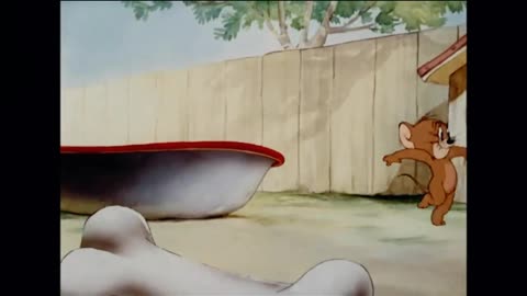 Tom and Jerry cartoon
