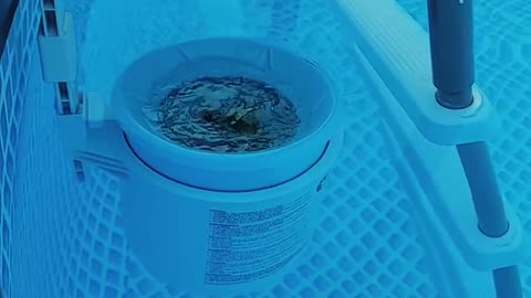 Pool skimmer, how to install.