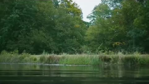 Girl is swimming alone in a lake