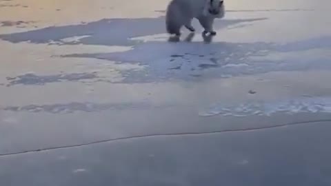 Dancing on a cold day