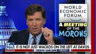 Tucker Carlson_ This is hilariously idiotic