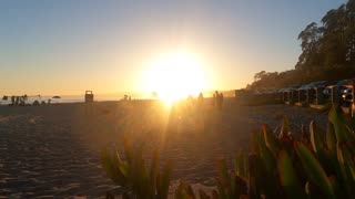 Relax at Seacliff Beach