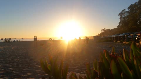 Relax at Seacliff Beach