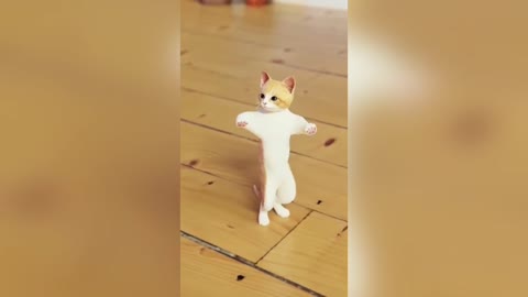 Best video of cat | more funny short best 4