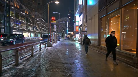 Tokyo Snowscape Serenity: Night Walk Shibuya to Shinjuku Winter Adventure