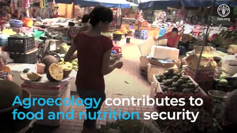 Agroecology is essential for sustainable agriculture and food systems