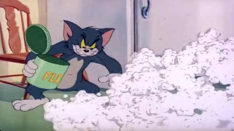 Tom & Jerry Cartoon