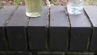 Graphene WATER