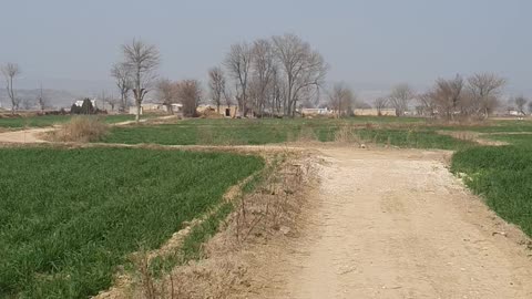 Walking in Village of Pakistan