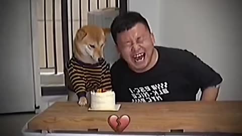 Dog Fun With Cake